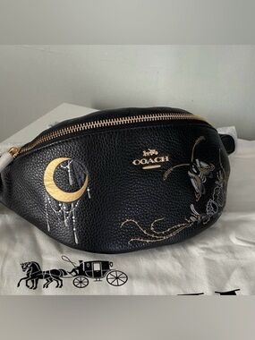 Coach by tattoo artist Chelsea Champlain Belt bag